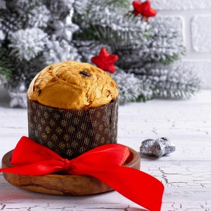 PANETTONE PROTEICO FIT 300gr